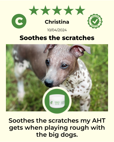 SKIN HEALTH / Healing Skin Salve - view 3