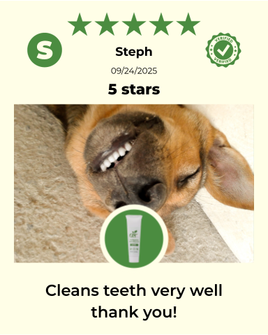 4-FURRY DOGS *RESTORATIVE GROOMING KIT - view 5