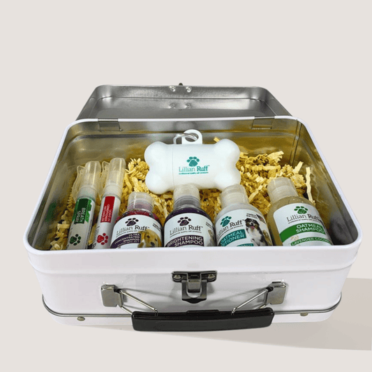 Premium Lunchbox With Core Product Samples - Image 2