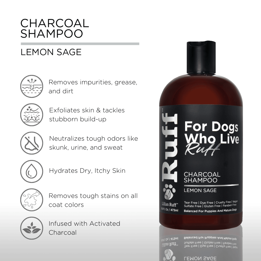 Activated Charcoal Shampoo - Image 3