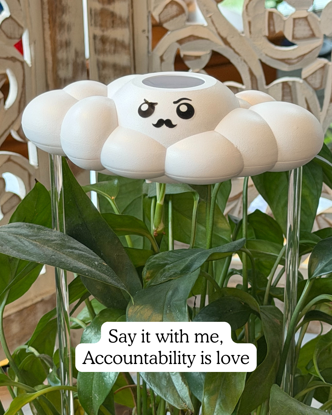 Carl the Cloud - view 4