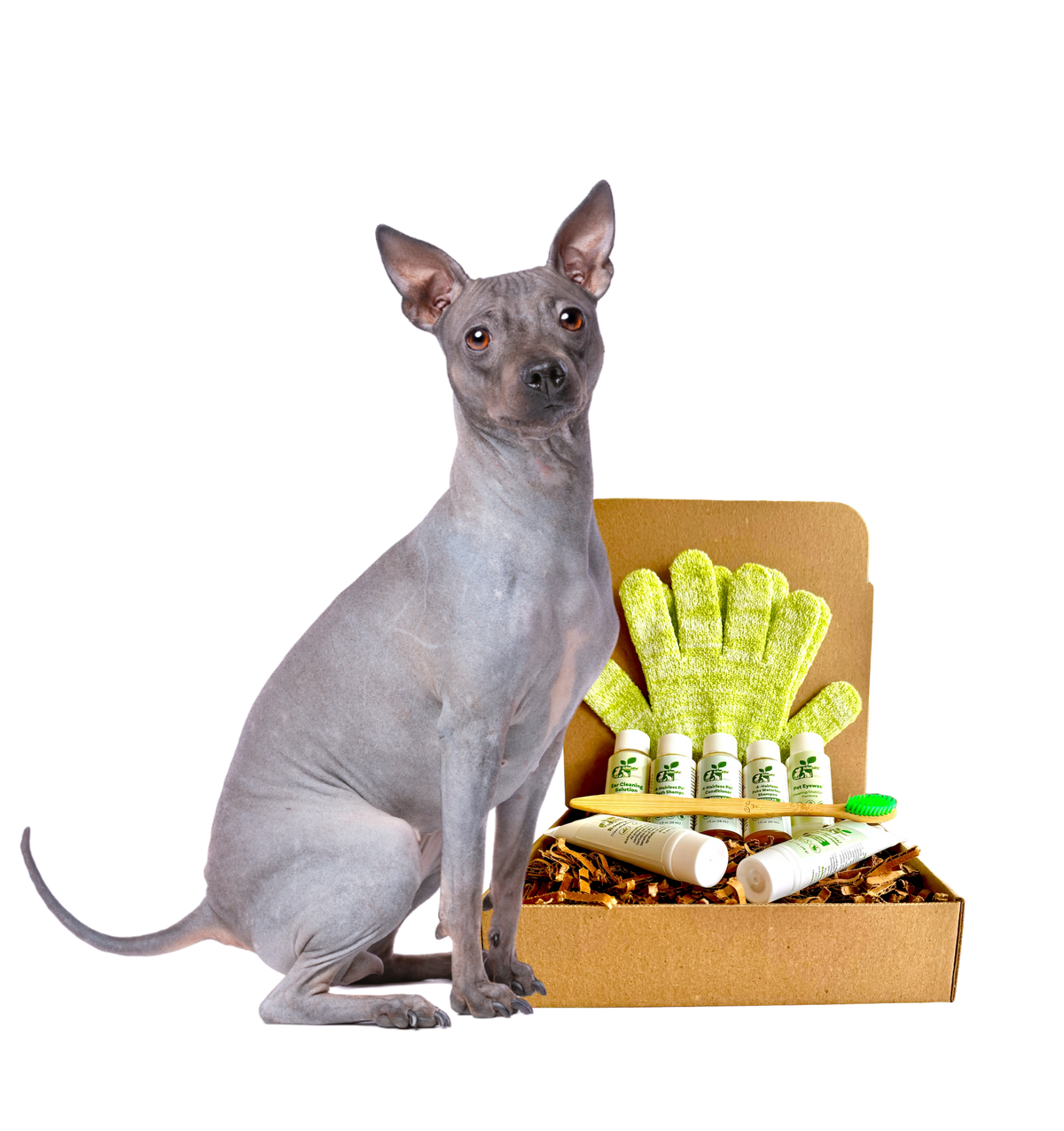 4-HAIRLESS PETS *DOG RESTORATIVE KIT - SAMPLE SIZE ($9.92/oz.) - view 2