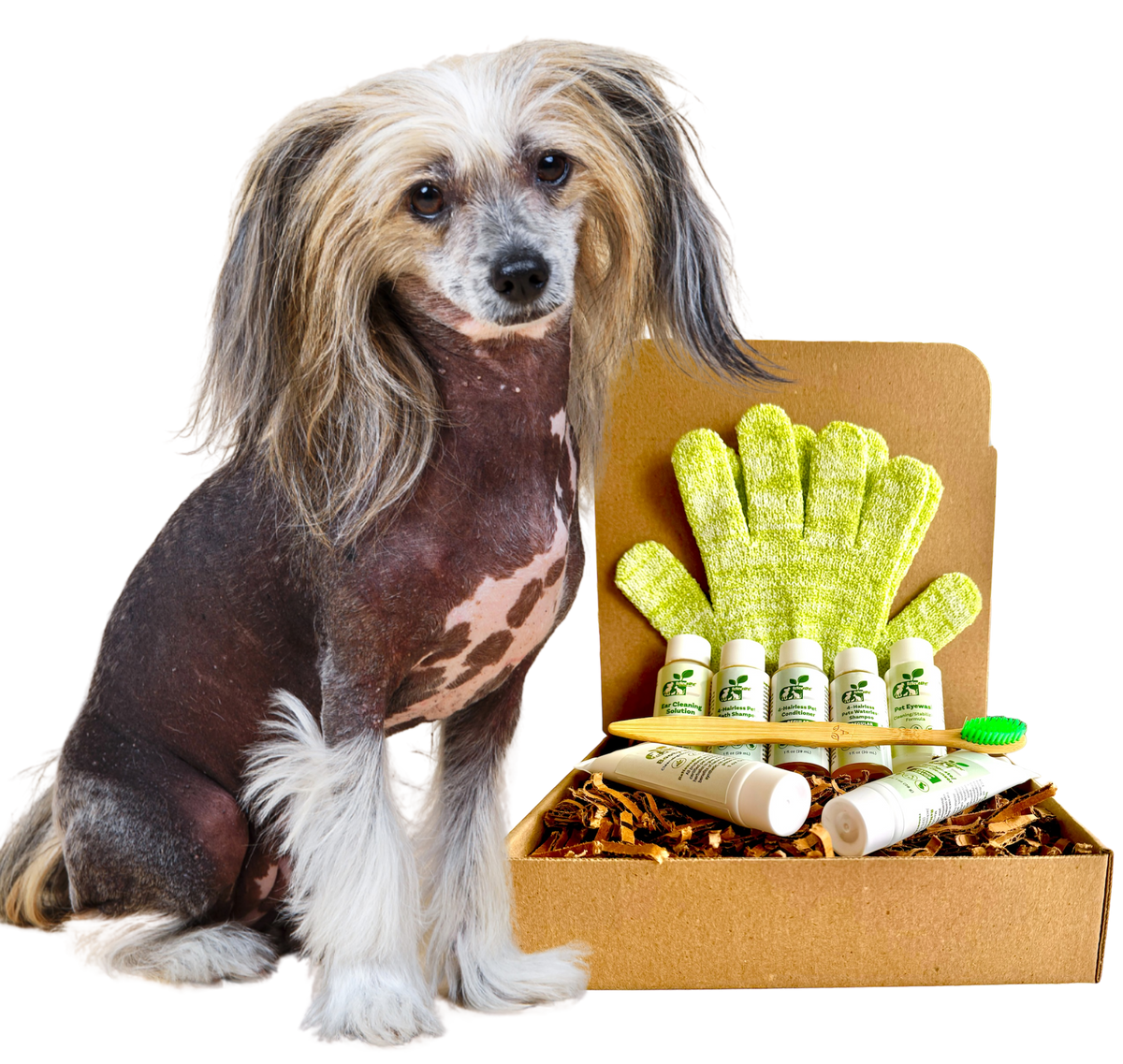4-HAIRLESS PETS *DOG SENSITIVE KIT - SAMPLE SIZE ($9.92/oz.) - view 3