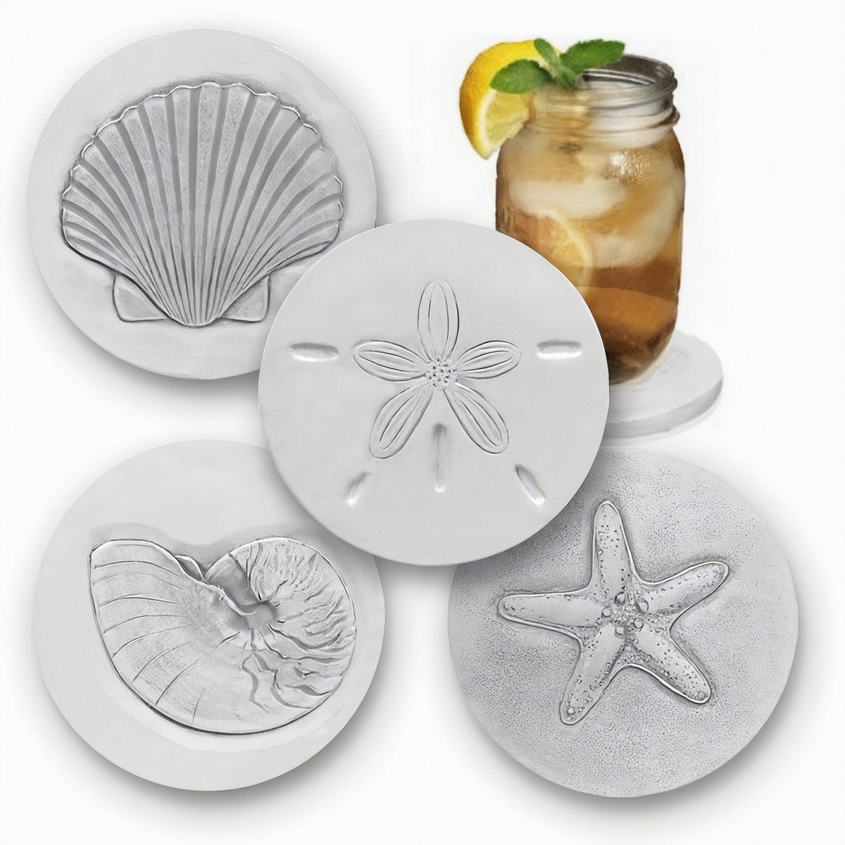 Assorted Shells Drink Coasters — McCarter Coasters