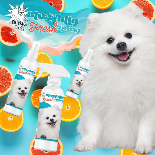 Blissfully Fresh™ Deodorizing Spray - Image 2