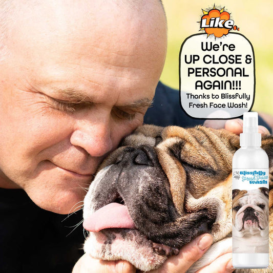 Bulldog Blissfully Fresh™ Face Wash - Image 2