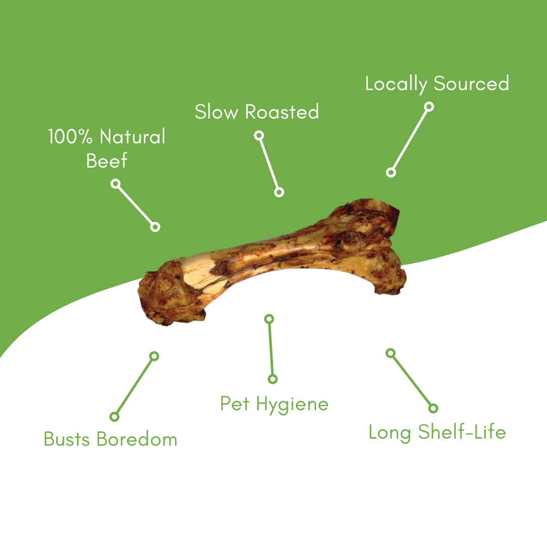 Dino Beef Bone - view 3