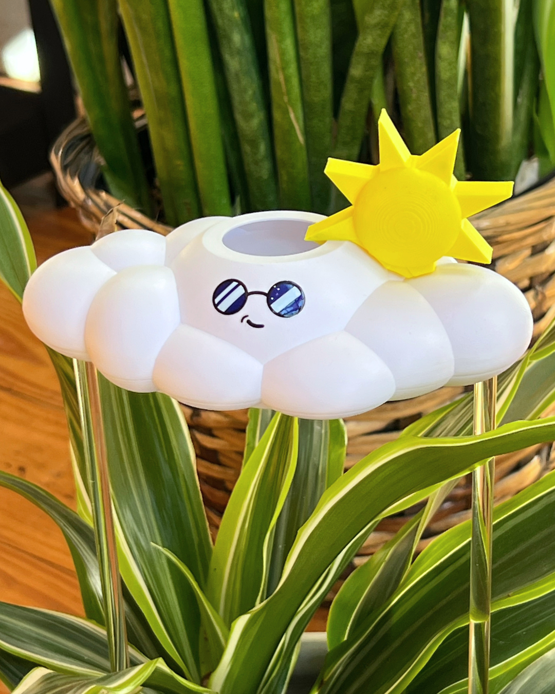 Cooper the Cloud - view 6