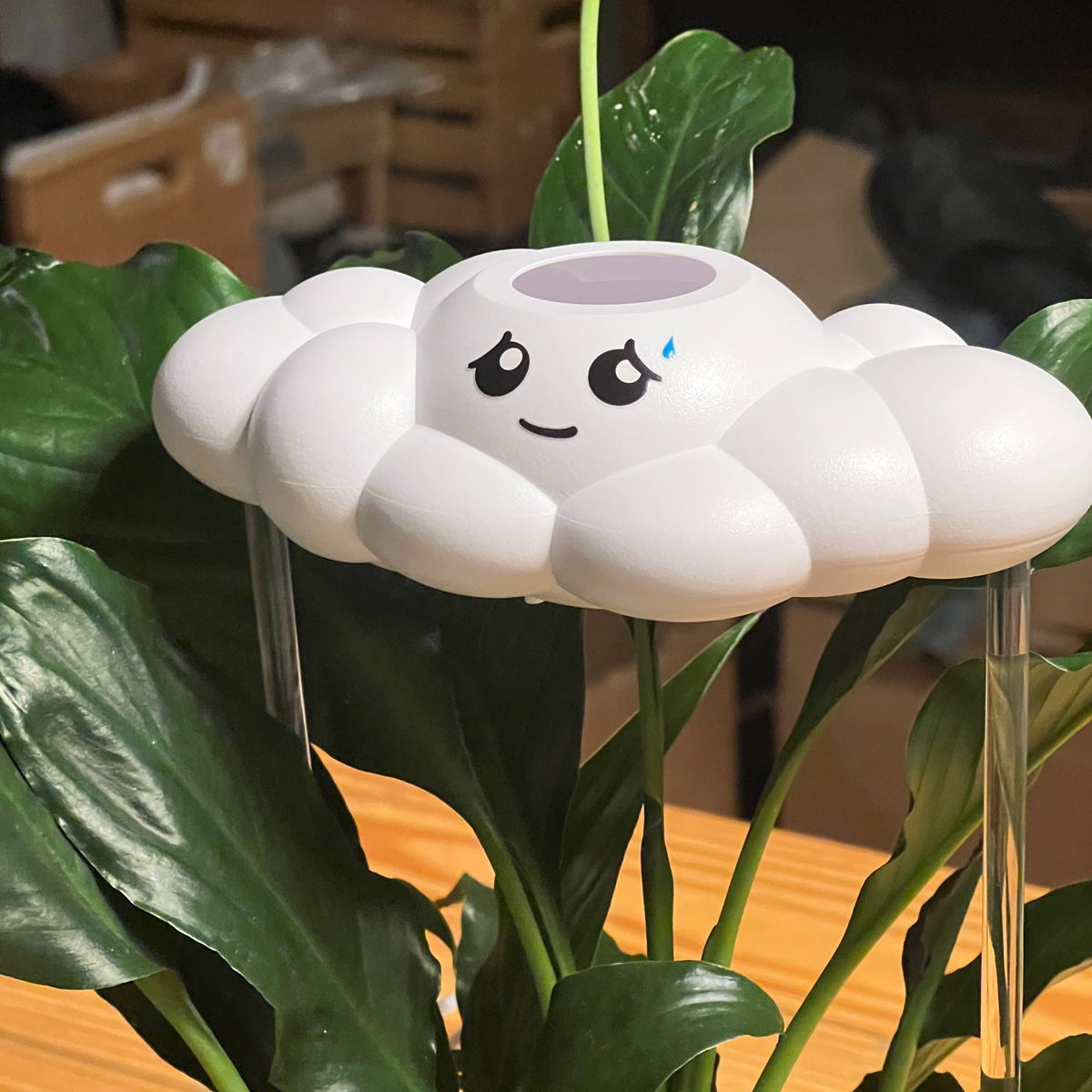Cory the Cloud - view 5