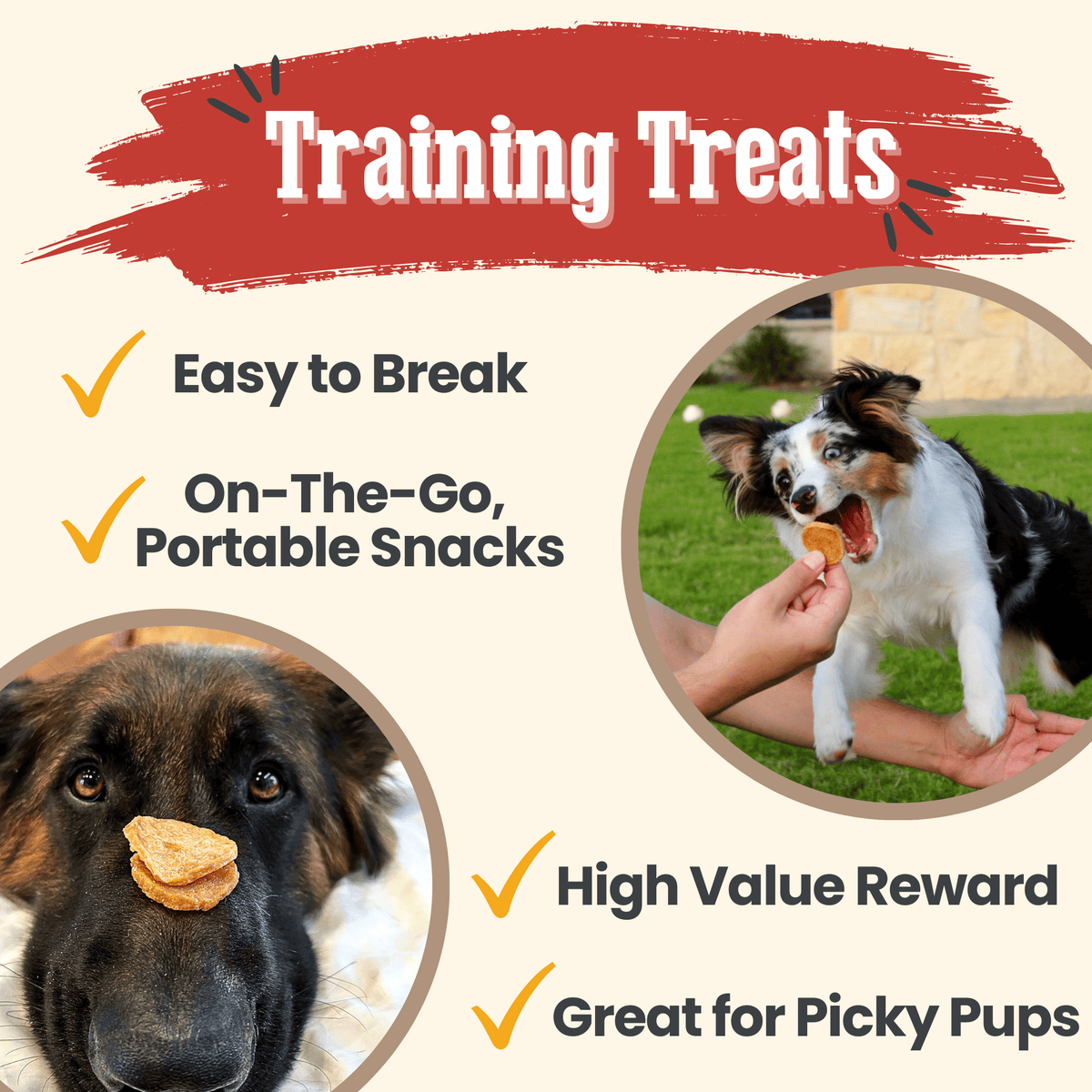 Chicken Chips for Dogs | All-Natural Single-Ingredient Dog Treats - Image 12