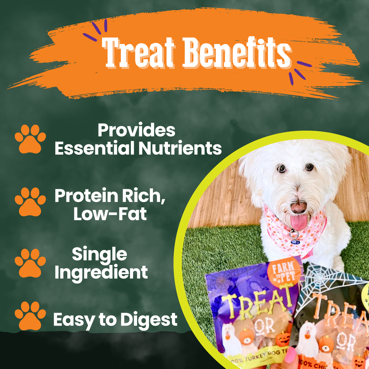 Halloween Dog Treat Snack Pack Bundle - Image 8