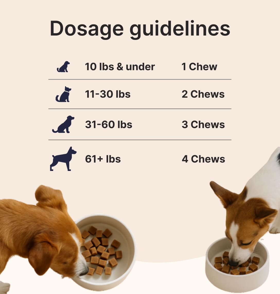 Dog Joint & Multivitamin Chews - view 6