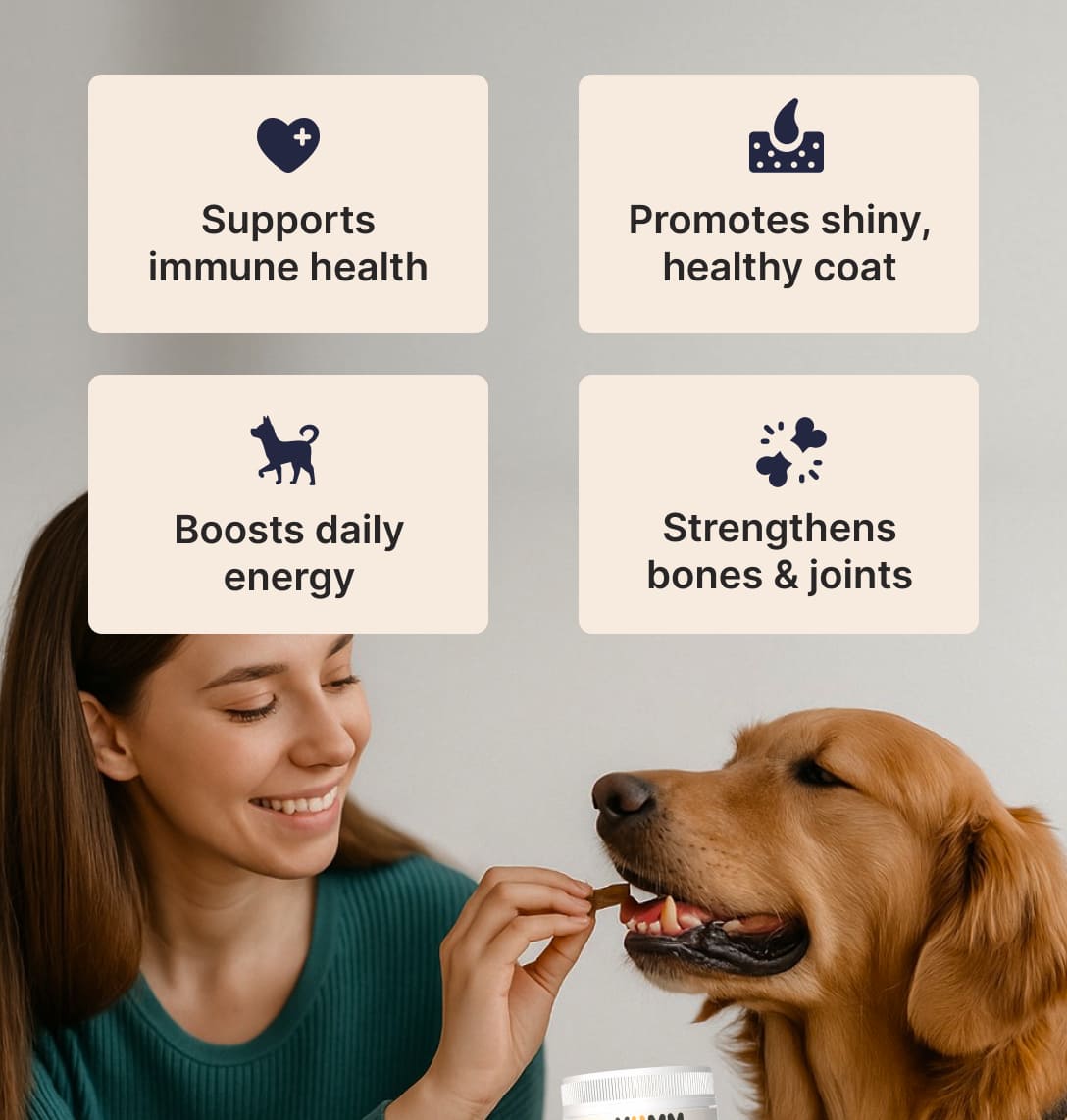 Dog Joint & Multivitamin Chews - view 5