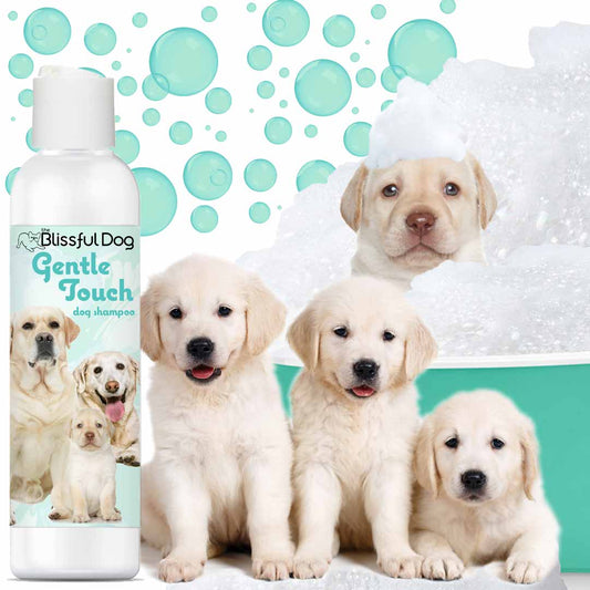 Gentle Touch Dog Shampoo & Soap - Image 2