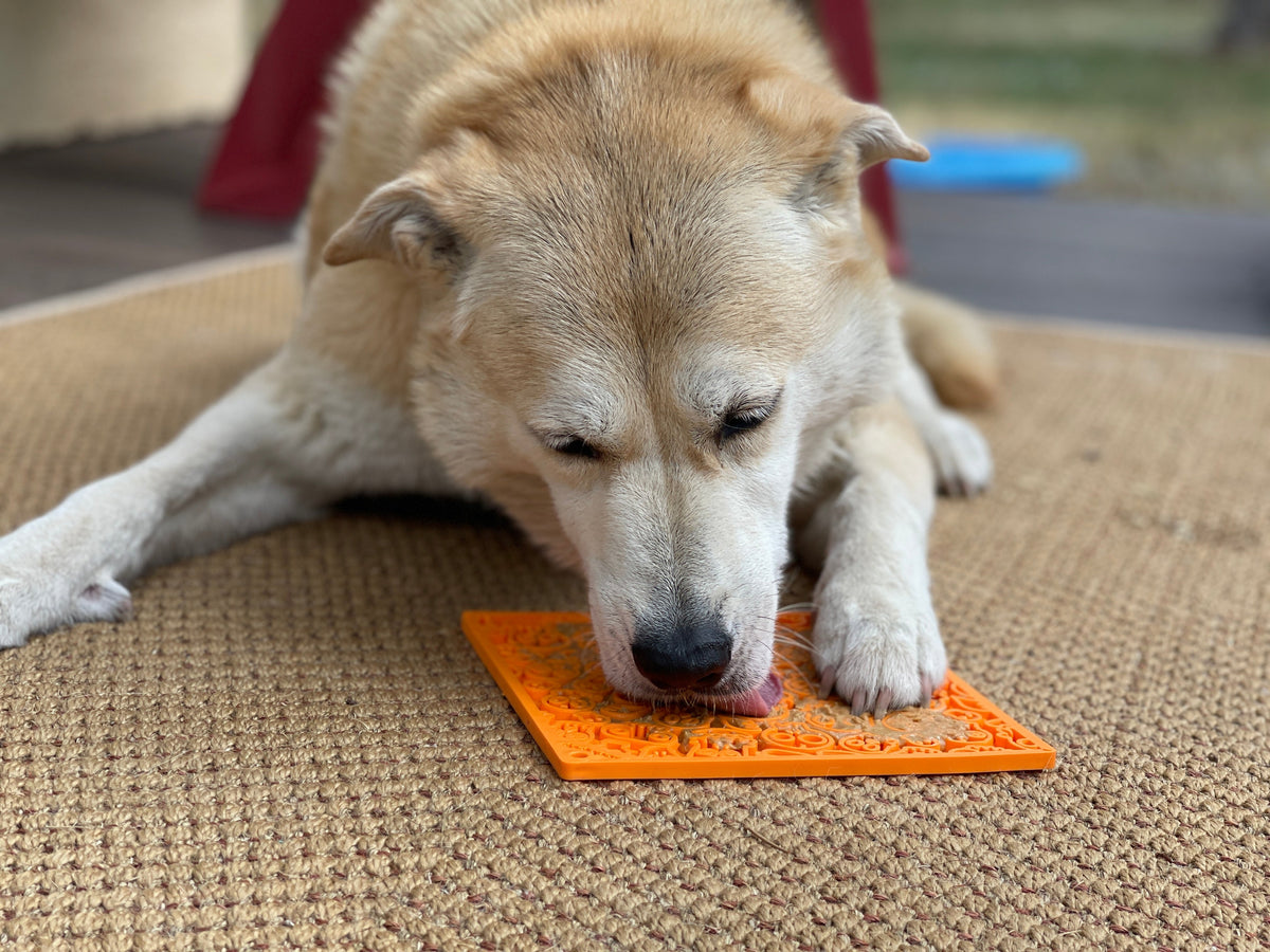 Zombie eMat - Enrichment Lick Mat for Dogs and Cats - view 8