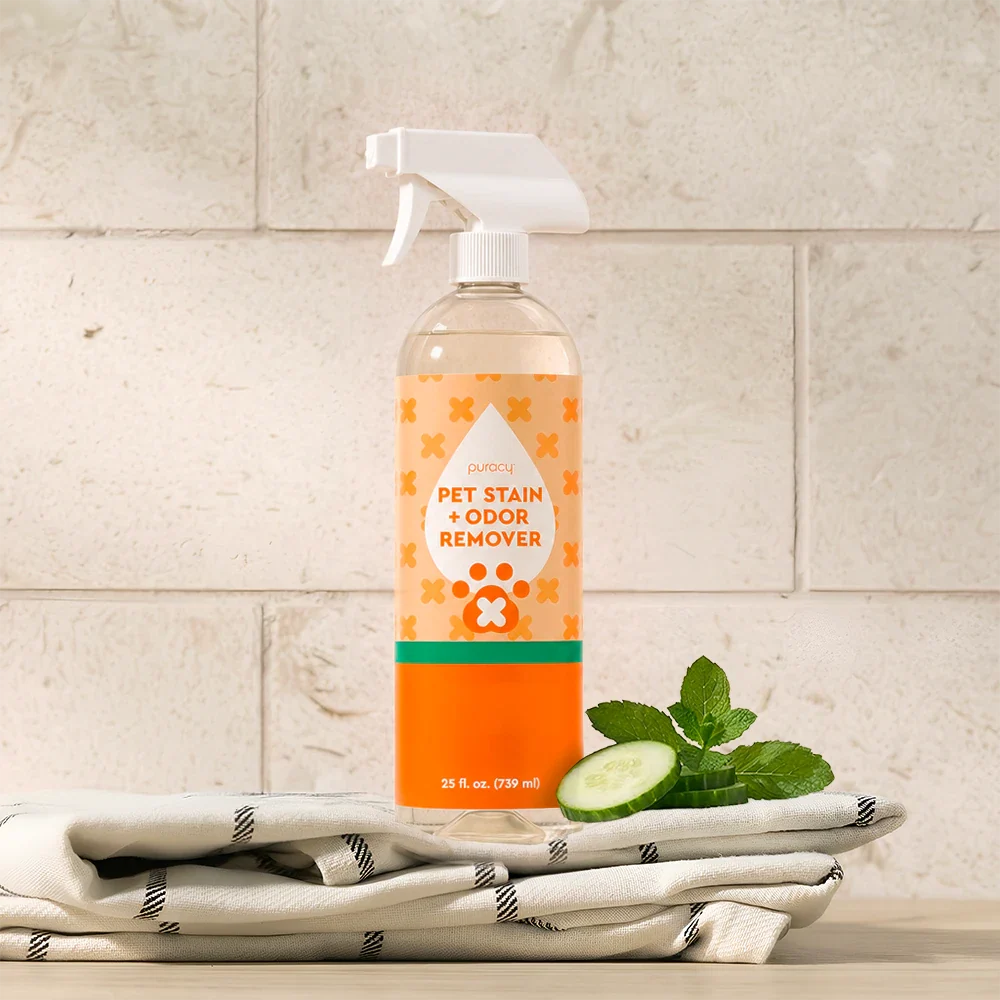 Pet Stain & Odor Remover - Cucumber & Mint, Standard