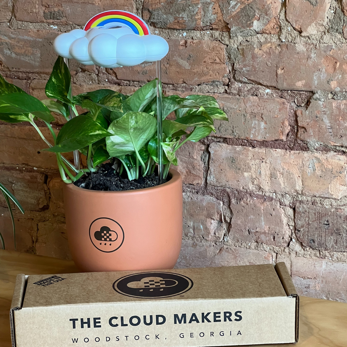 Original Dripping Rain Cloud with Rainbow Charm - view 8