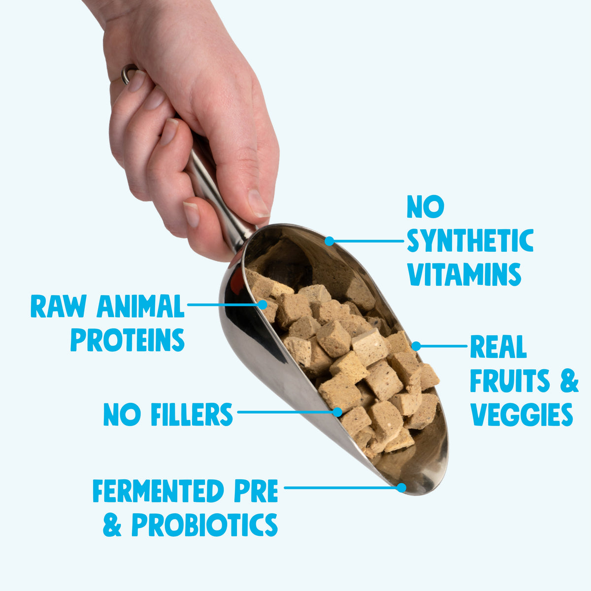 Chicken Dog Food Topper - Image 4