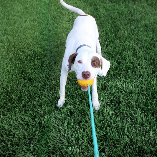 Mako Treat n Chew Rope Toy - view 2
