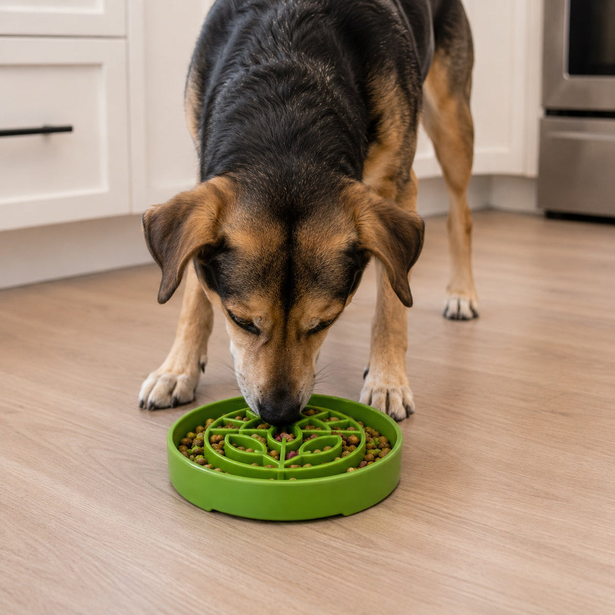 Garden Design eTray - Shallow Slow Feeder Dog Bowl for Enrichment - view 7