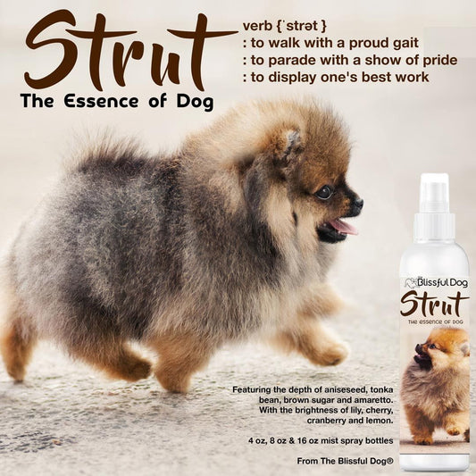 Strut Dog Cologne for the Ruler of the Kingdom - Image 2