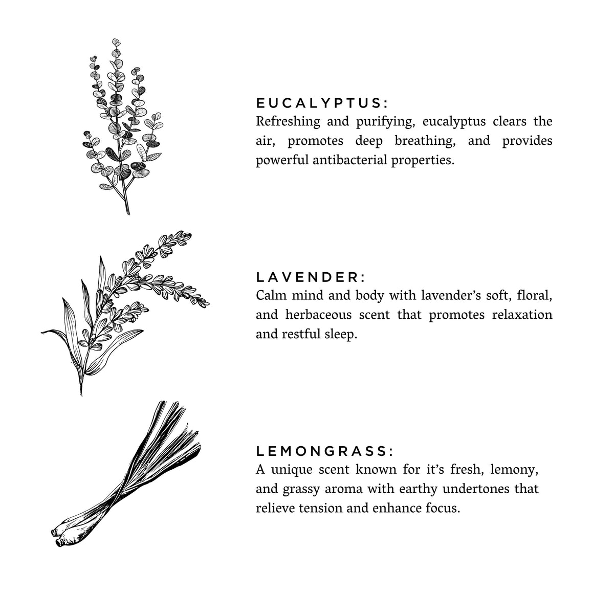 Linen Spray - Shangri-La - Eucalyptus + Lavender + Lemongrass - view 3