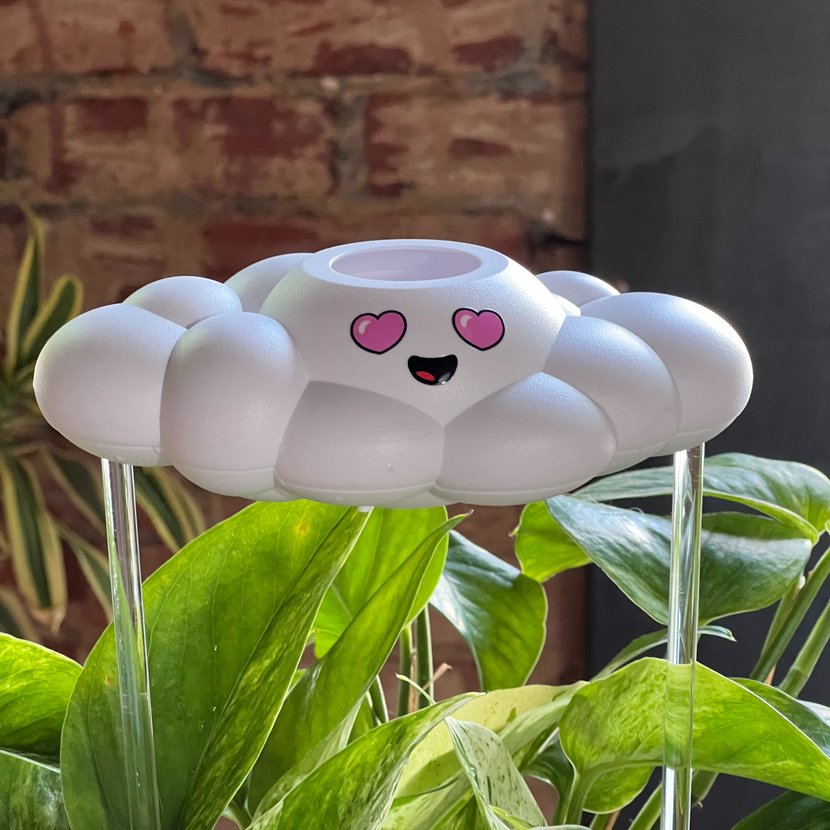 Chloe the Cloud - view 8