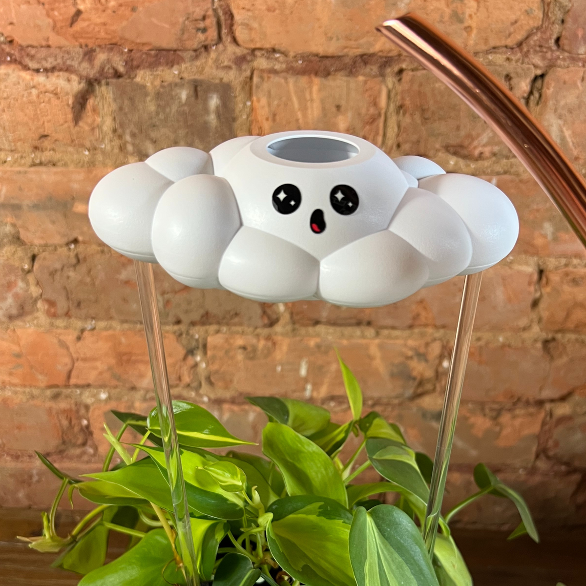 Cosmo the Cloud - view 5
