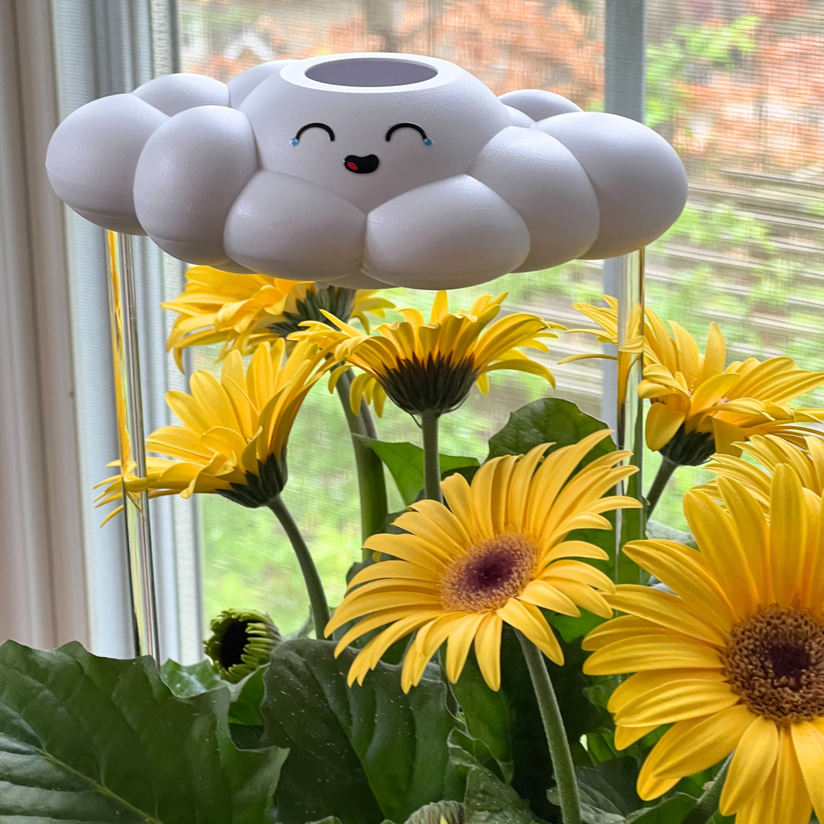 Misty the Cloud - view 7