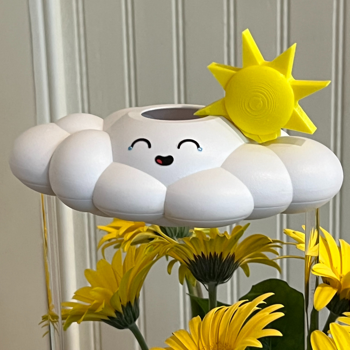 Misty the Cloud - view 2