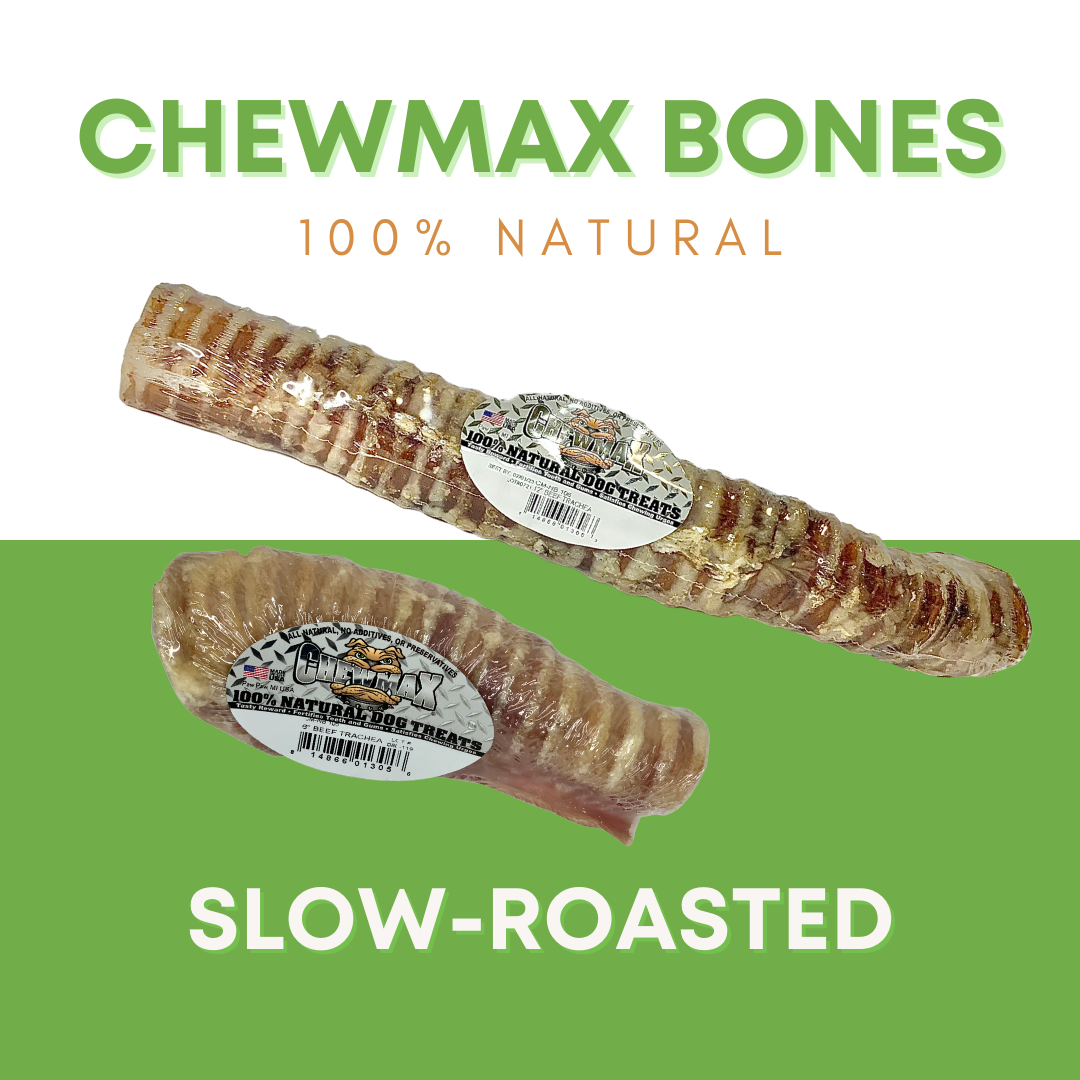 5 Count 5"-6" Beef Trachea Dog Chews - view 2