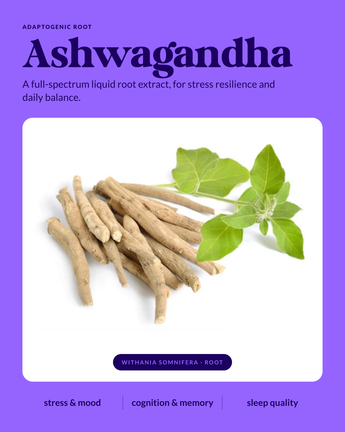 Organic Ashwaganda WellDrops Tincture - view 4