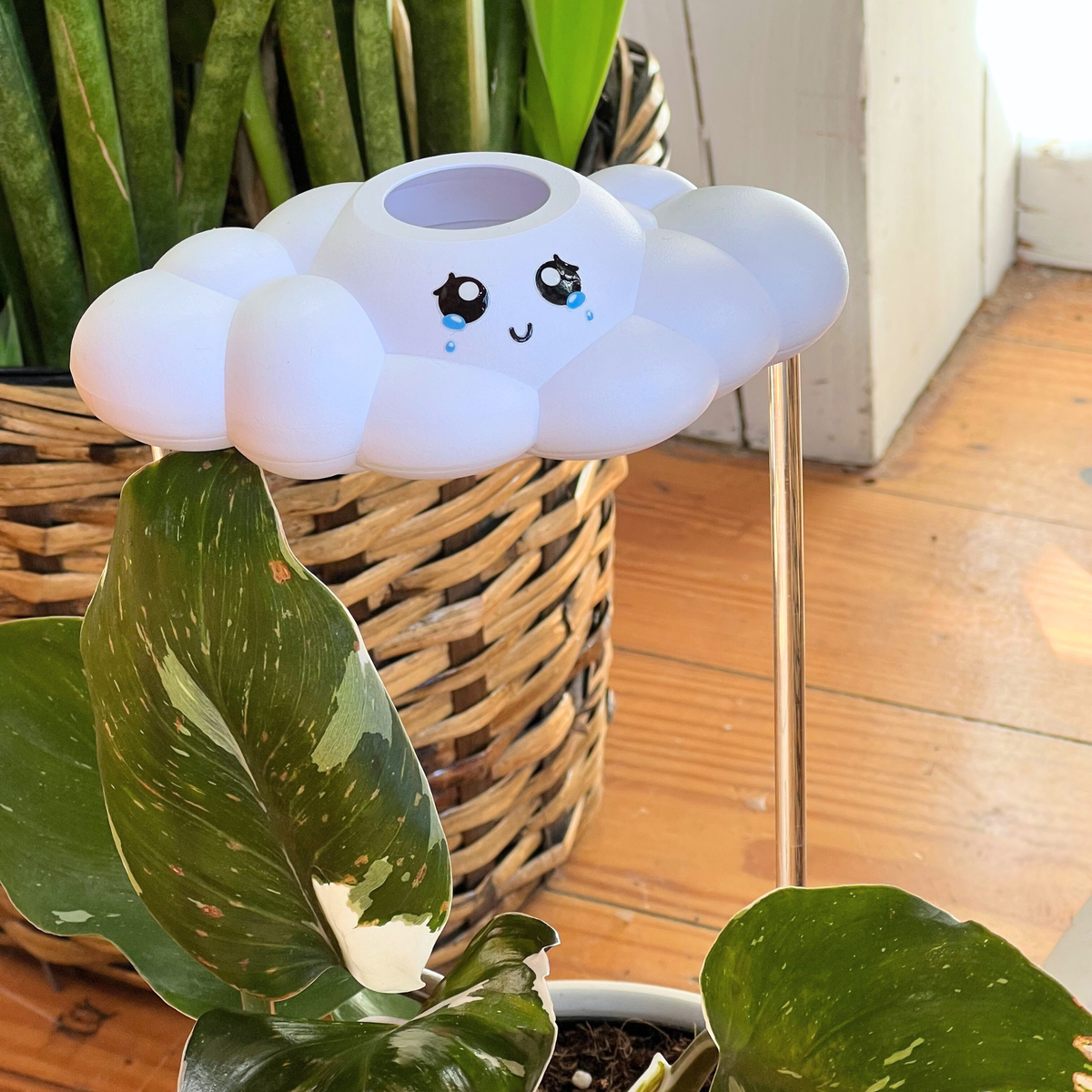 Clara The Cloud - view 5