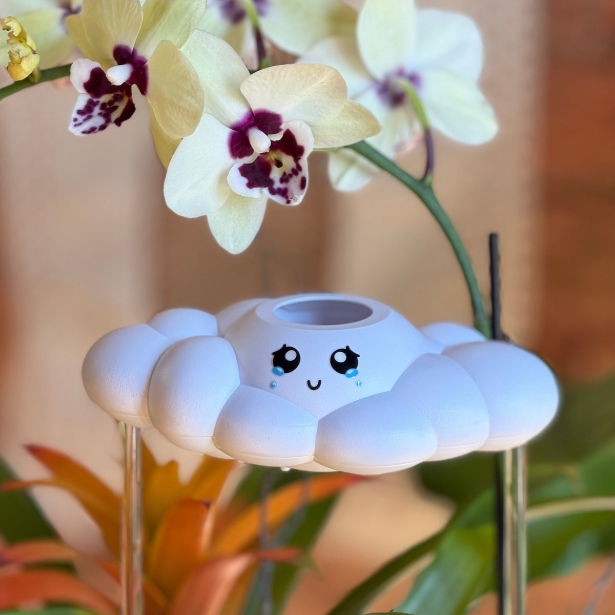 Clara The Cloud - view 3