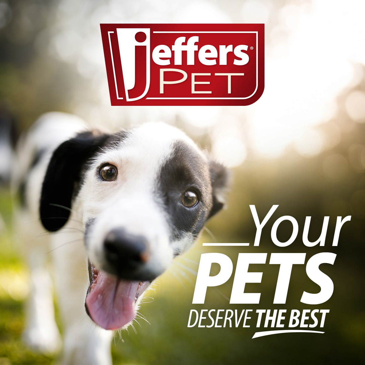 Jeffers Red Orbits Ball Natural Rubber Dental Treat Dispensing Dog