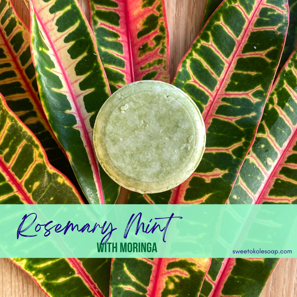 Non-Toxic Shampoo Bar - Rosemary, Mint & Moringa - view 4