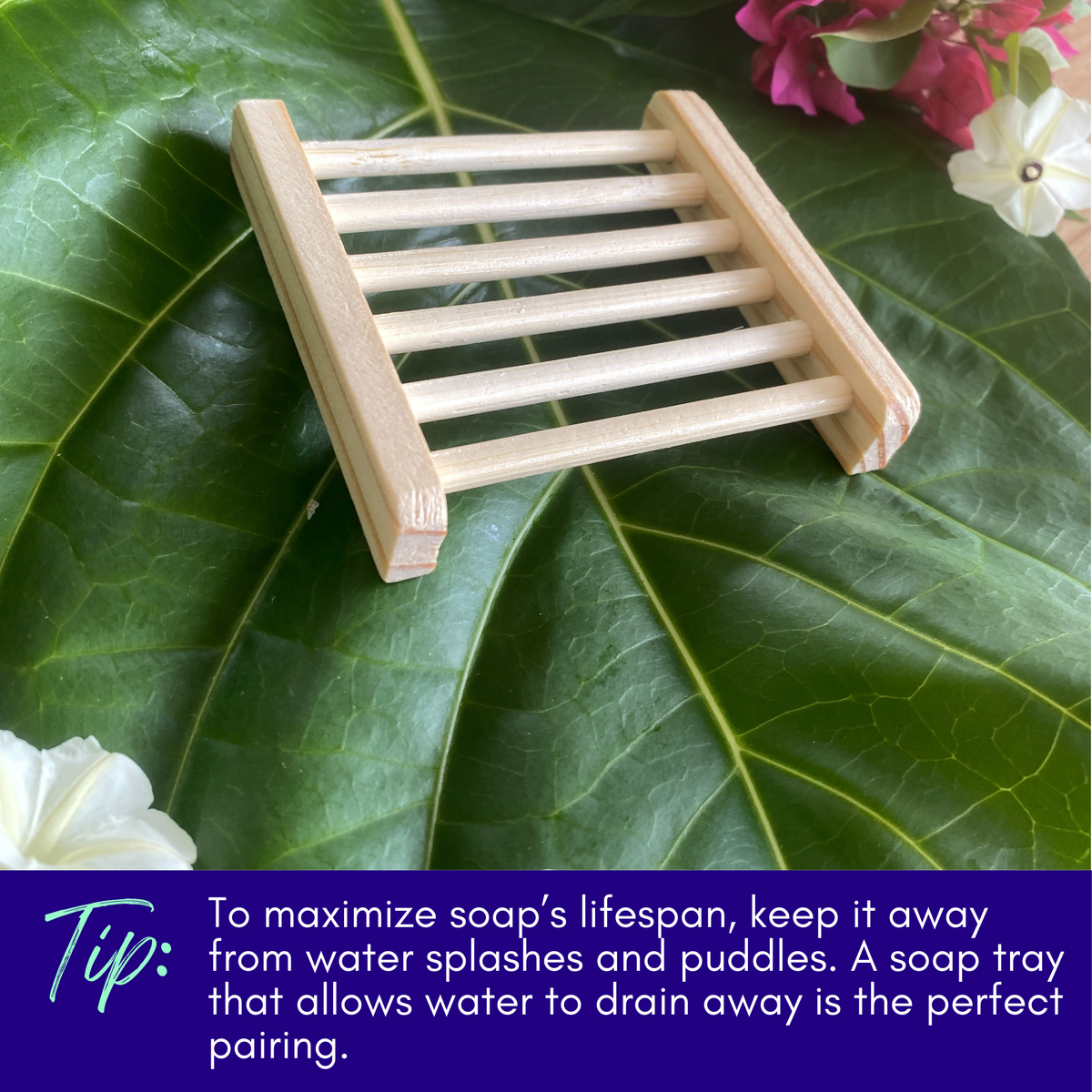 Lavender & Clary Sage Soap with Noni & Essential Oils - view 6