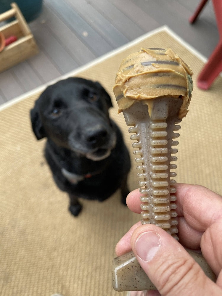 Honey Bone Dental Tower Nylon Chew Toy for Aggressive Chewers - view 7