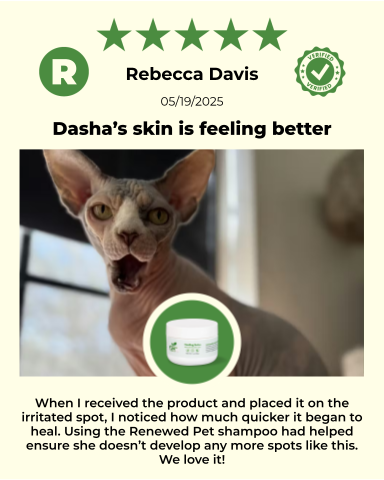 SKIN HEALTH / Healing Skin Salve - view 2