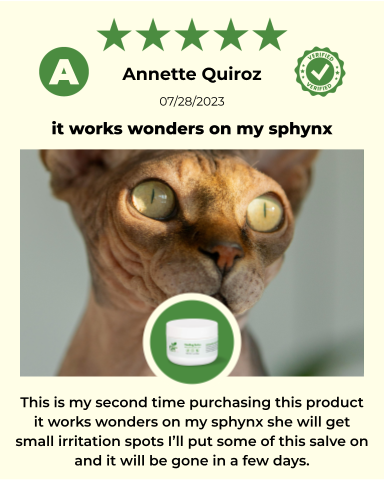 SKIN HEALTH / Healing Skin Salve - view 4