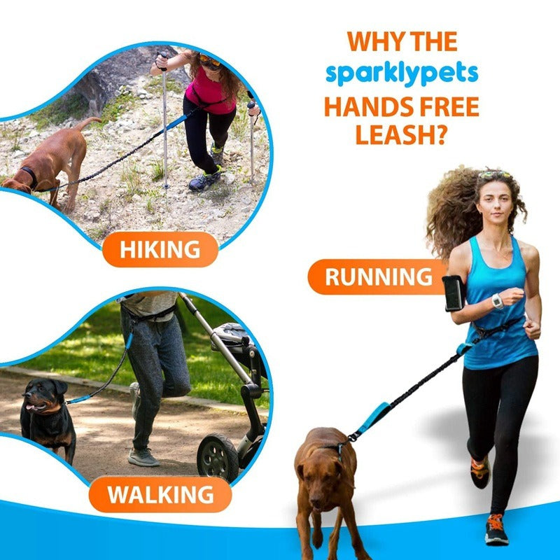 Dual Elastic Reflective Running Traction Rope Portable Retractable Dog Rope Dog Chain Traction Rope Pet Supplies - image 5
