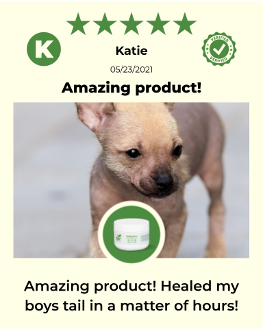 SKIN HEALTH / Healing Skin Salve - view 8