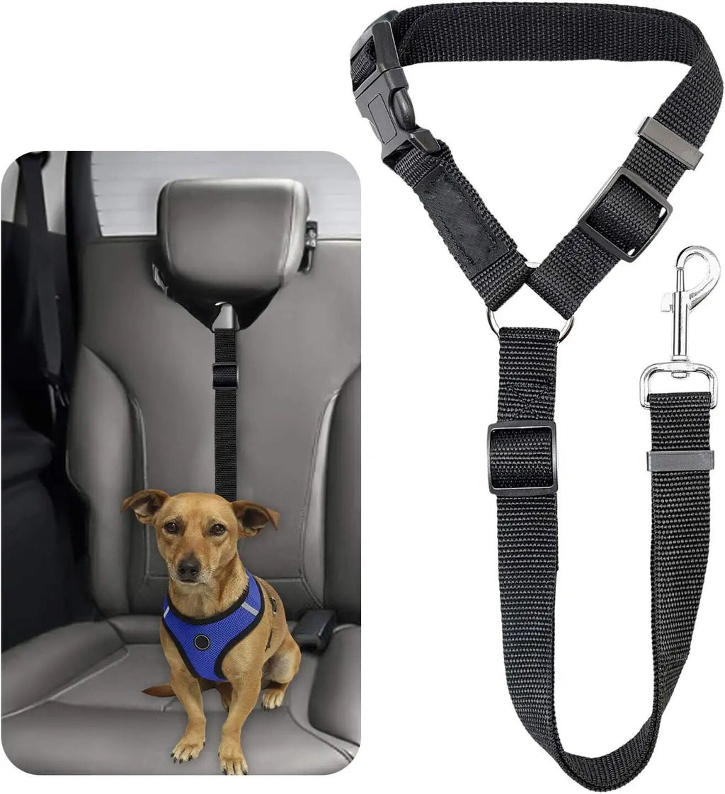 Pet dog safety belt large and medium-sized dog travel vehicle rope car safety buckle fixed rope car riding tool - image 4