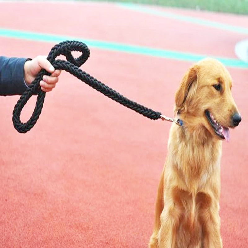 Nylon Dog Harness Leash For Medium Large Dogs Leads Pet Training Running Walking Safety Mountain Climb Big Dog NylonTenacityR