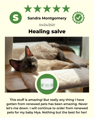 SKIN HEALTH / Healing Skin Salve