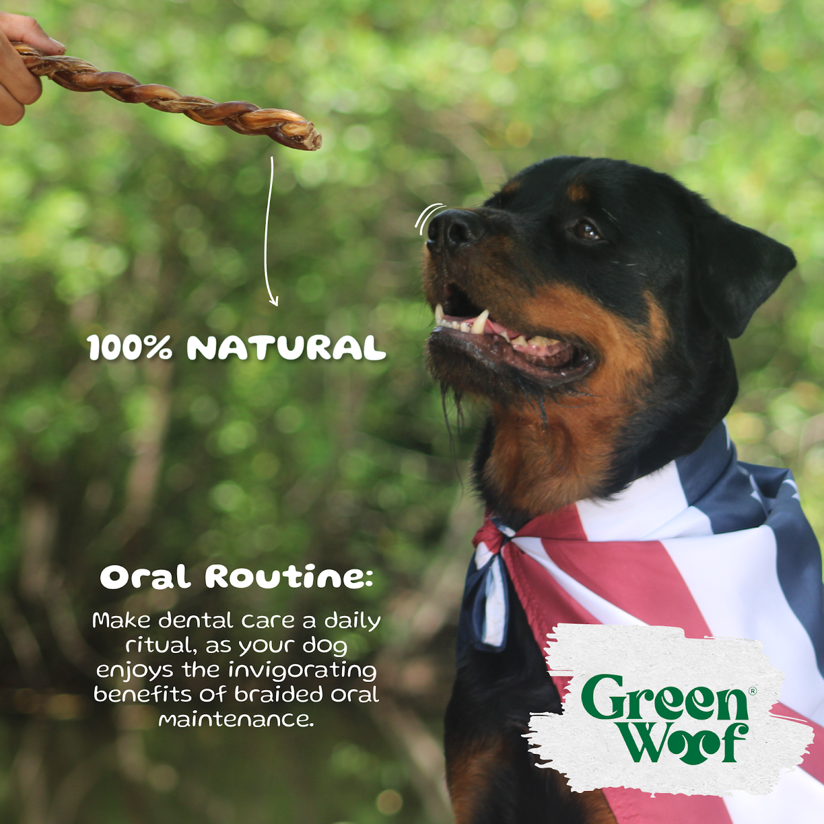 Braided Bully Sticks for Dogs, 9" – Natural Beef Chew (5 Pack) - image 2