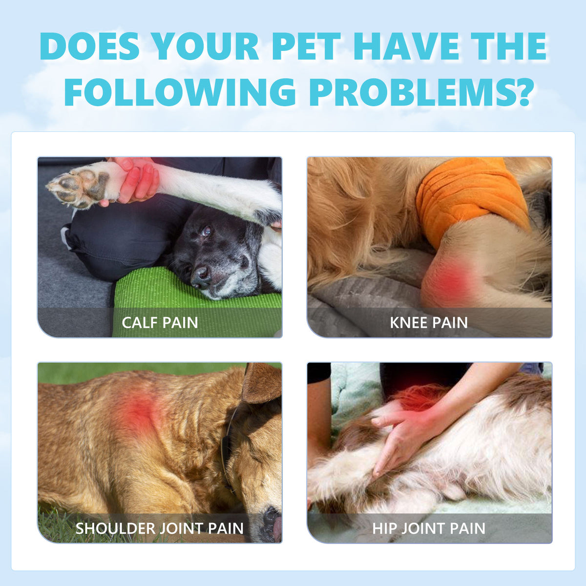 Pet Glucosamine Drops Relieve Pain Of Bones And Joints For Pets Body Care For Cats And Dogs - image 4