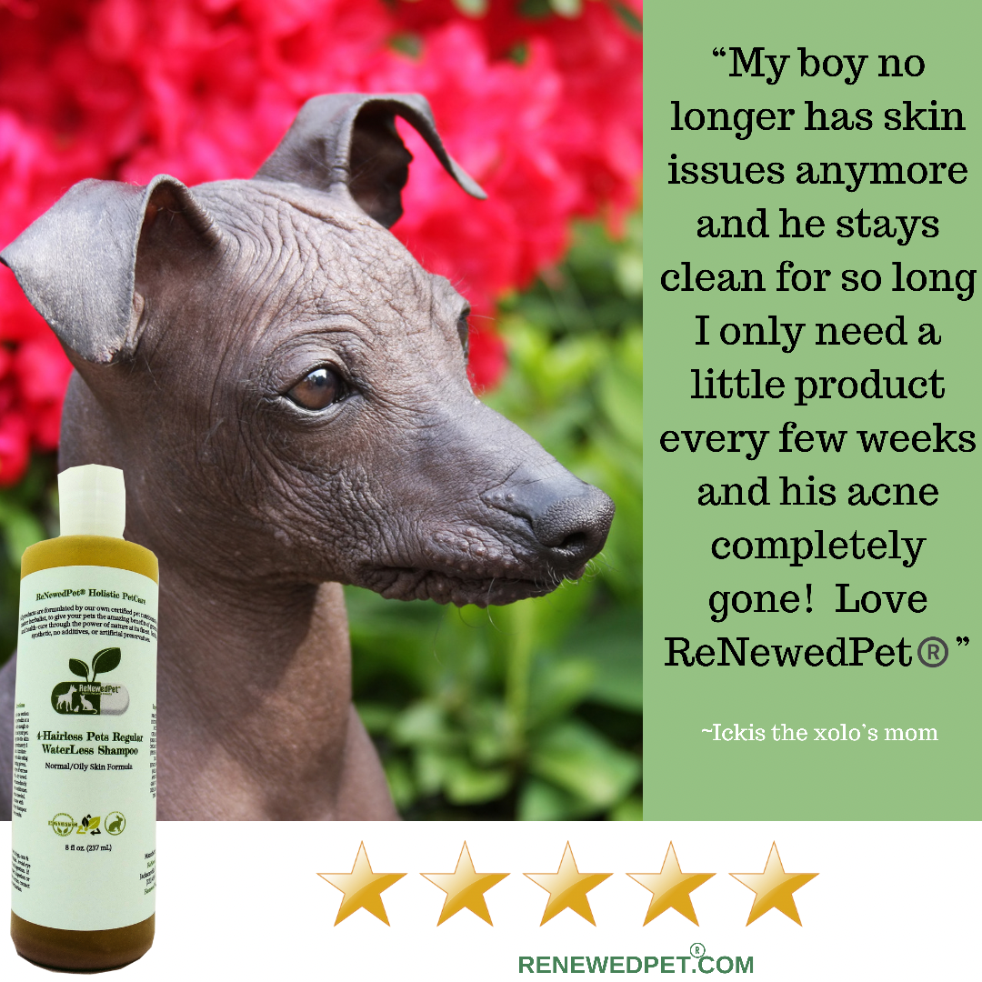 4-HAIRLESS PETS REGULAR CONDITIONER - view 4