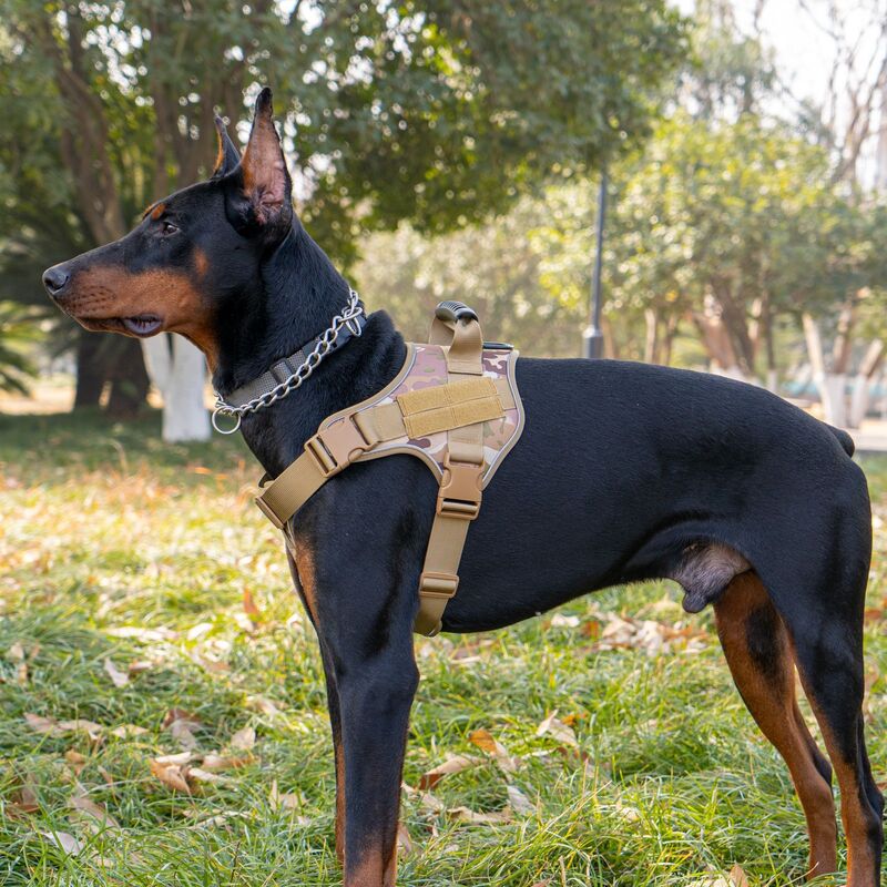 Tactical dog vest: for large dogs (German Shepherd, Golden Retriever) – training, military-style accessories. - image 6