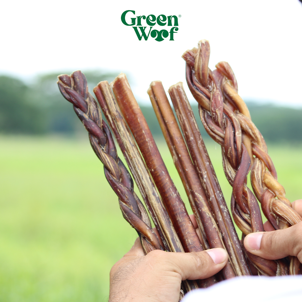 Braided Bully Sticks for Dogs, 9" – Natural Beef Chew (5 Pack)